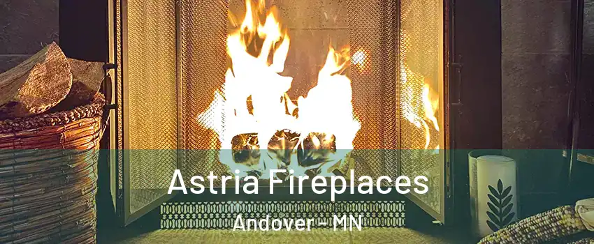  Astria Fireplaces Andover - MN