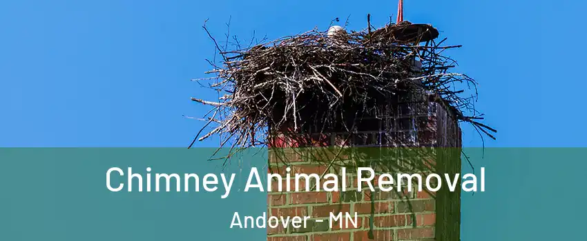  Chimney Animal Removal Andover - MN