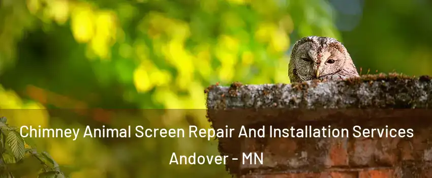  Chimney Animal Screen Repair And Installation Services Andover - MN