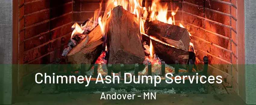  Chimney Ash Dump Services Andover - MN