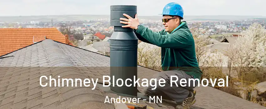  Chimney Blockage Removal Andover - MN