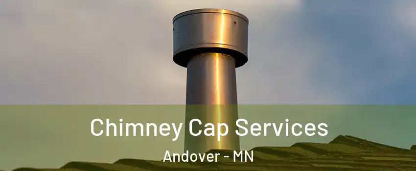  Chimney Cap Services Andover - MN