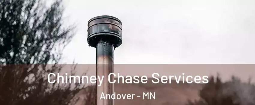  Chimney Chase Services Andover - MN