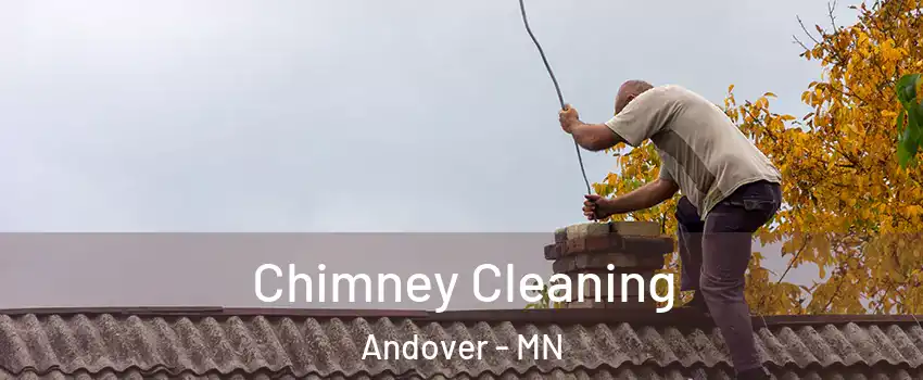  Chimney Cleaning Andover - MN
