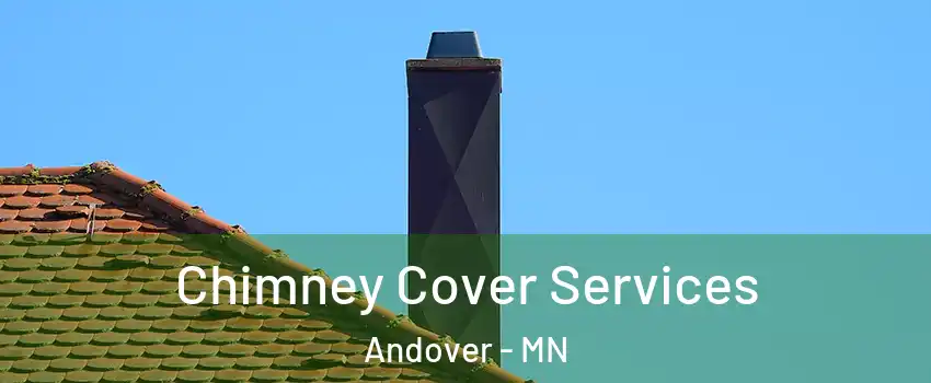  Chimney Cover Services Andover - MN