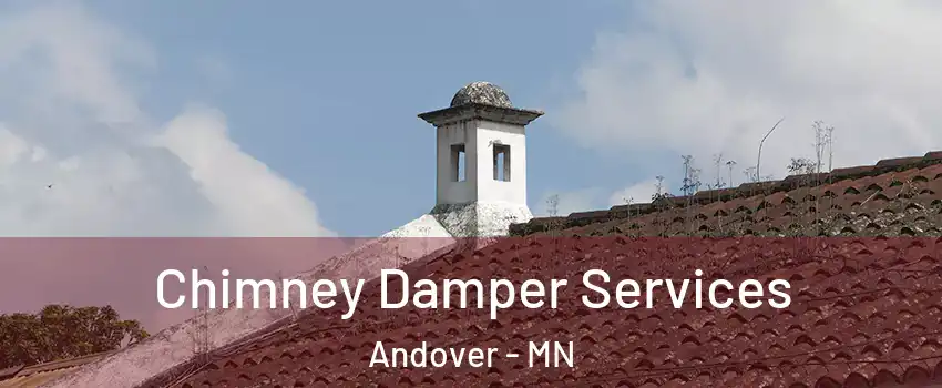  Chimney Damper Services Andover - MN