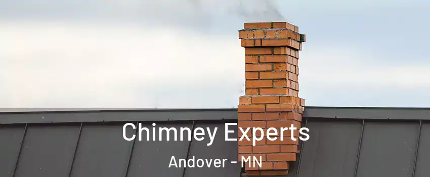 Chimney Experts Andover - MN