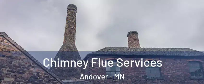  Chimney Flue Services Andover - MN