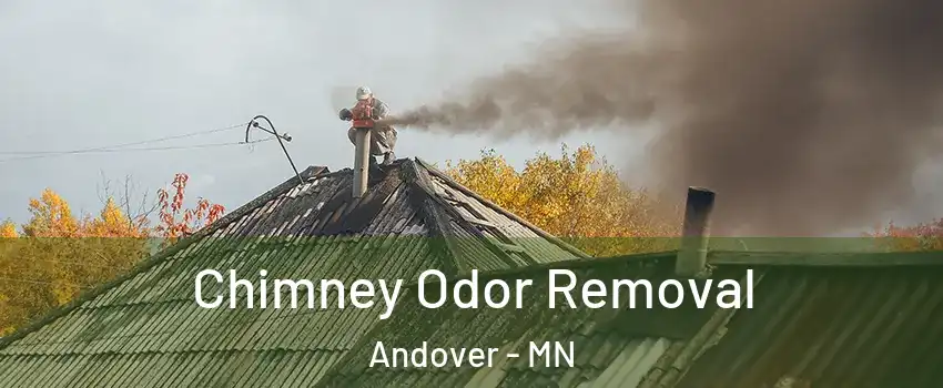  Chimney Odor Removal Andover - MN