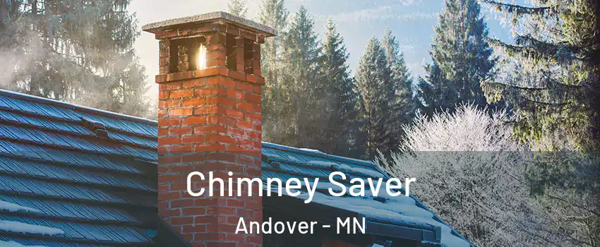  Chimney Saver Andover - MN