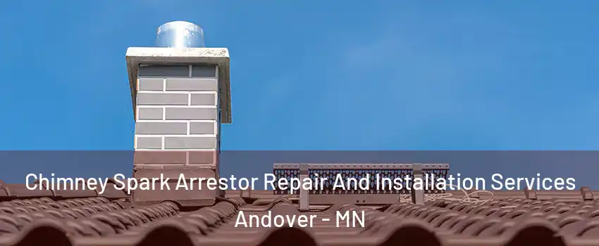  Chimney Spark Arrestor Repair And Installation Services Andover - MN