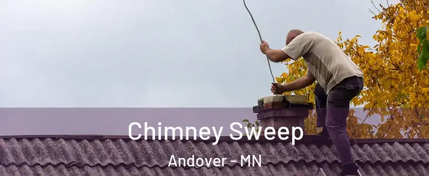  Chimney Sweep Andover - MN