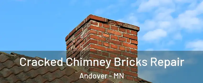  Cracked Chimney Bricks Repair Andover - MN