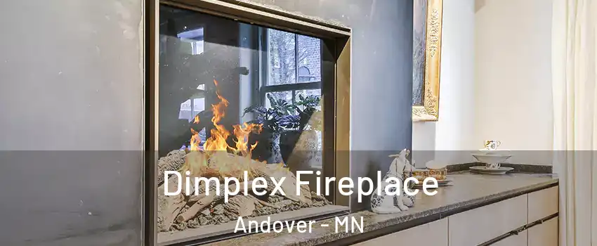  Dimplex Fireplace Andover - MN