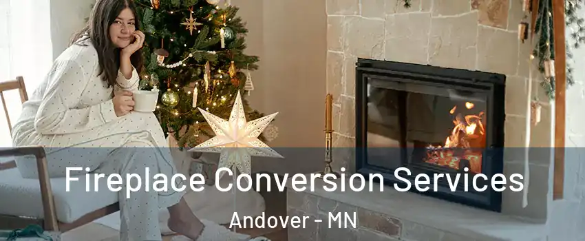  Fireplace Conversion Services Andover - MN