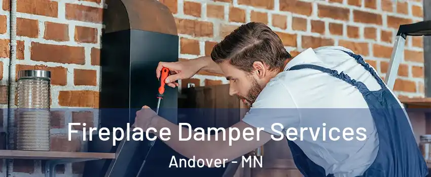  Fireplace Damper Services Andover - MN