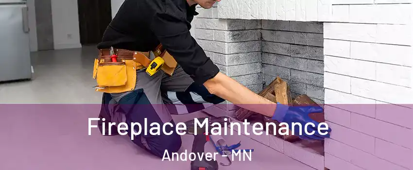  Fireplace Maintenance Andover - MN