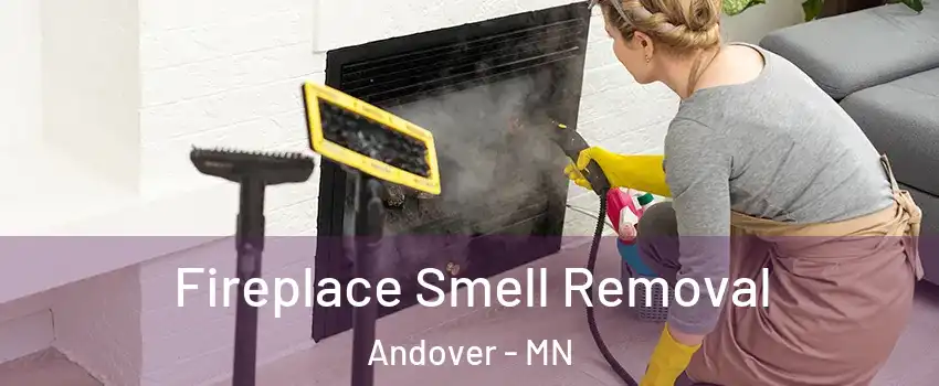  Fireplace Smell Removal Andover - MN