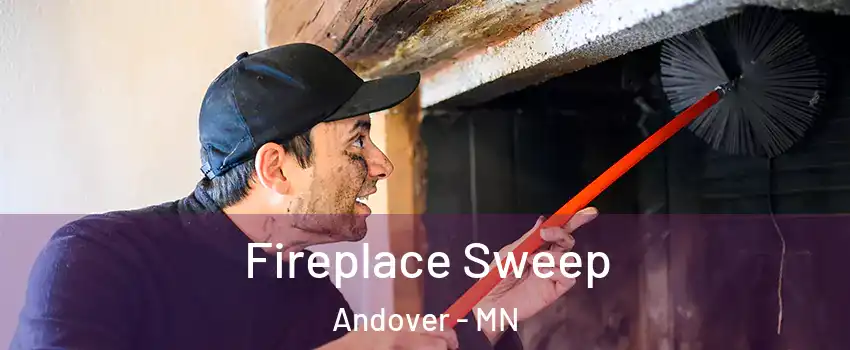  Fireplace Sweep Andover - MN