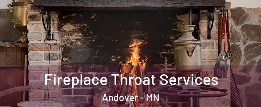  Fireplace Throat Services Andover - MN