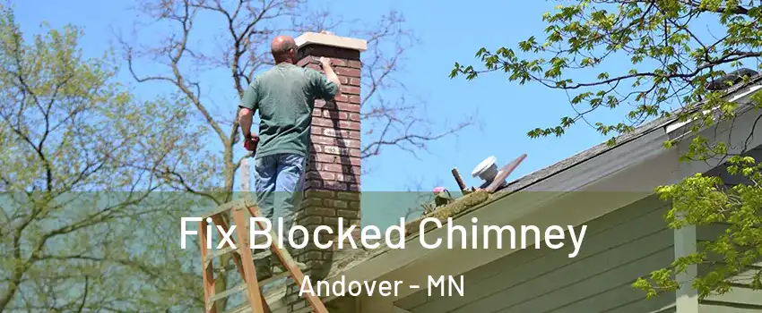  Fix Blocked Chimney Andover - MN