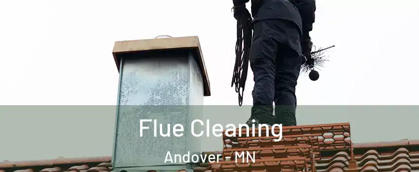 Flue Cleaning Andover - MN