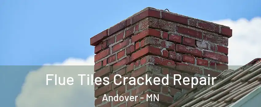  Flue Tiles Cracked Repair Andover - MN
