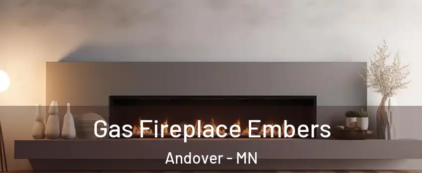  Gas Fireplace Embers Andover - MN