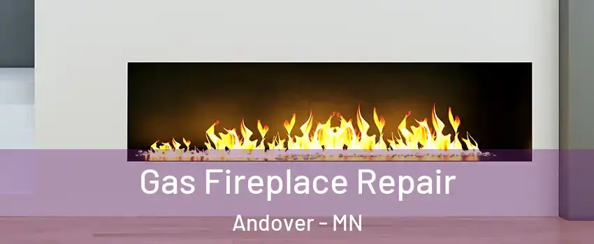  Gas Fireplace Repair Andover - MN