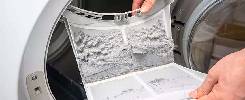 Best Dryer Lint Removal Company in Andover, Minnesota