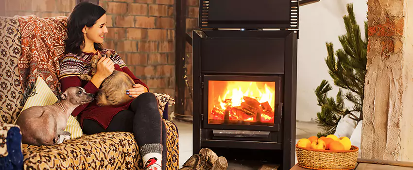 Wood Stove Chimney Cleaning Services in Andover, MN