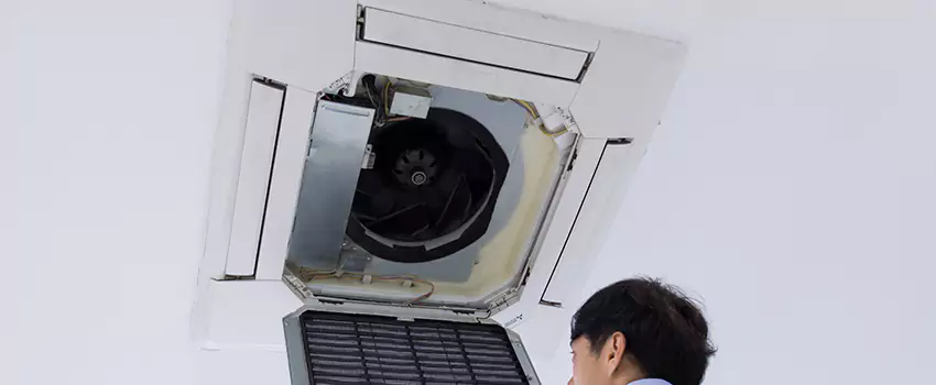 Benefits of Professional Air Duct Cleaning in Andover, Minnesota