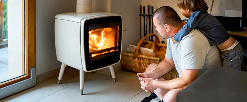 Fireplace Flue Maintenance Services in Andover, MN