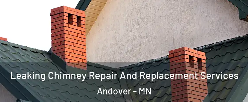 Leaking Chimney Repair And Replacement Services Andover - MN