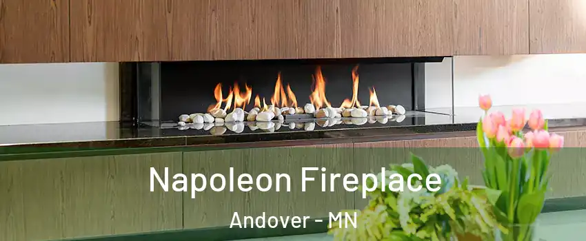  Napoleon Fireplace Andover - MN