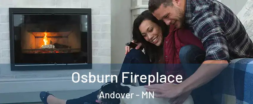  Osburn Fireplace Andover - MN