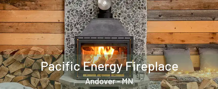  Pacific Energy Fireplace Andover - MN
