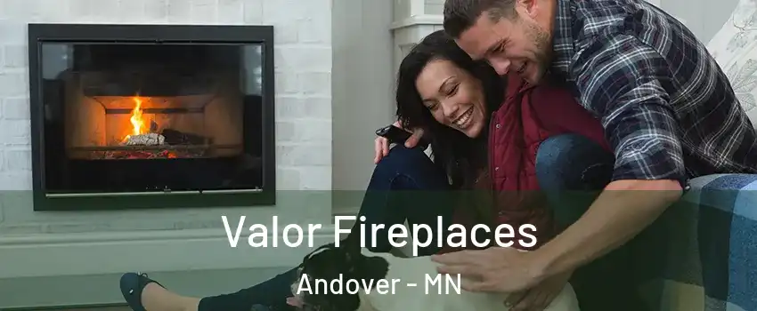  Valor Fireplaces Andover - MN