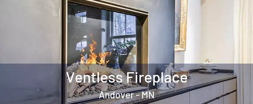  Ventless Fireplace Andover - MN